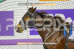 2026_Pacepix_GP31072026_Race10_Grumpee_WIN_WEB-12