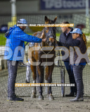 2026_Pacepix_GP31072026_Race10_Grumpee_WIN_WEB-14