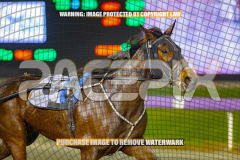 2026_Pacepix_GP31072026_Race10_Grumpee_WIN_WEB-9