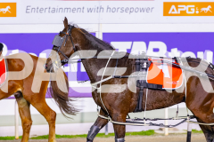 2026_PACEPIX_GP22052026_RACE10_HaveYouMetTed_WIN_WEB-13