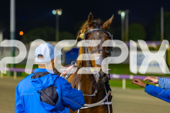 2026_PACEPIX_GP22052026_RACE10_HaveYouMetTed_WIN_WEB-14