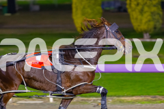 2026_PACEPIX_GP22052026_RACE10_HaveYouMetTed_WIN_WEB-3