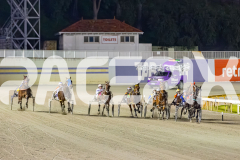 2025_PACEPIX_GP12092025_Race10_IllawongMustang_WIN_WEB-1