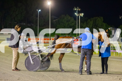 2025_PACEPIX_GP12092025_Race10_IllawongMustang_WIN_WEB-21