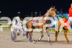 2025_PACEPIX_GP12092025_Race10_IllawongMustang_WIN_WEB-22