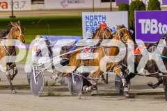 2025_PACEPIX_GP12092025_Race10_IllawongMustang_WIN_WEB-3