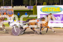 2025_PACEPIX_GP12092025_Race10_IllawongMustang_WIN_WEB-5