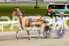 2025_PACEPIX_GP12092025_Race10_IllawongMustang_WIN_WEB-6