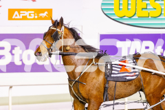 2025_PACEPIX_GP12092025_Race10_IllawongMustang_WIN_WEB-7