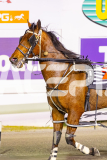 2025_PACEPIX_GP12092025_Race10_IllawongMustang_WIN_WEB-8