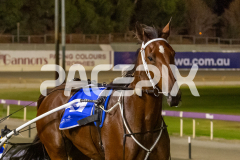 Im-Stealthy_13-03-2026_WIN_Gloucester-Park_10__11