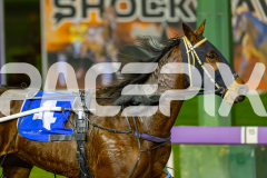 2026_PACEPIX_GP19062026_Race10_InFullFlight_WIN_WEB-12