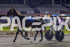 2026_PACEPIX_GP19062026_Race10_InFullFlight_WIN_WEB-17