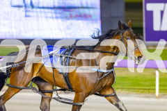 2025_PACEPIX_GP14112025_RACE10_Insurgency_WIN_WEB-10