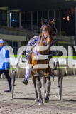 2025_PACEPIX_GP14112025_RACE10_Insurgency_WIN_WEB-17