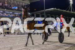 2025_PACEPIX_GP14112025_RACE10_Insurgency_WIN_WEB-20