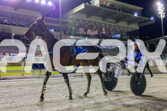 2025_PACEPIX_GP14112025_RACE10_Insurgency_WIN_WEB-22