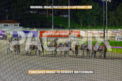 2026_Pacepix_GP07082026_WEB-128