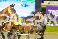 2025_PACEPIX_GP29082025_RACE10_LouieLebeau_WIN_WEB-9