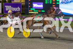 2023_HCC_GP08082025_Race10_Luvaflair_WEB-5