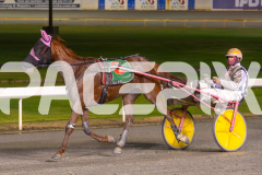 2023_HCC_GP08082025_Race10_Luvaflair_WEB-8