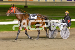 Madam-Maggie_01-05-2026_WIN_Gloucester-Park_10__08
