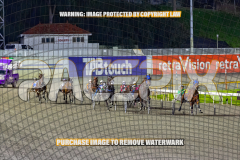 2026_Pacepix_GP21082026_Race10_MagicCaptain_WIN_WEB-1