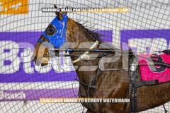 2026_Pacepix_GP21082026_Race10_MagicCaptain_WIN_WEB-10