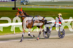 2025_PACEPIX_GP17102025_Race10_MajesticGaGa_WIN_WEB-11