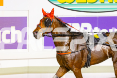 2025_PACEPIX_GP17102025_Race10_MajesticGaGa_WIN_WEB-12