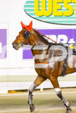 2025_PACEPIX_GP17102025_Race10_MajesticGaGa_WIN_WEB-13