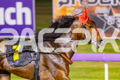 2025_PACEPIX_GP17102025_Race10_MajesticGaGa_WIN_WEB-2