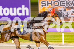 2025_PACEPIX_GP17102025_Race10_MajesticGaGa_WIN_WEB-3