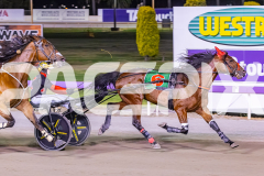 2025_PACEPIX_GP26122025_RACE10_MagesticGaGa_WIN_WEB-10