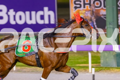 2025_PACEPIX_GP26122025_RACE10_MagesticGaGa_WIN_WEB-13