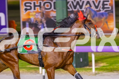 2025_PACEPIX_GP26122025_RACE10_MagesticGaGa_WIN_WEB-14