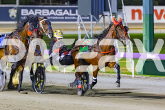 2025_PACEPIX_GP26122025_RACE10_MagesticGaGa_WIN_WEB-2