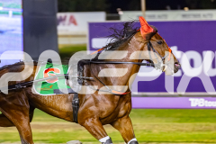 2025_PACEPIX_GP26122025_RACE10_MagesticGaGa_WIN_WEB-4