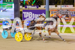 2025_PACEPIX_GP21112025_RACE10_MajesticGaGa_WIN_WEB-11