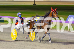 2025_PACEPIX_GP21112025_RACE10_MajesticGaGa_WIN_WEB-17