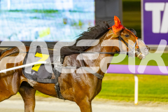 2025_PACEPIX_GP21112025_RACE10_MajesticGaGa_WIN_WEB-18