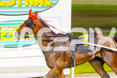 2025_PACEPIX_GP21112025_RACE10_MajesticGaGa_WIN_WEB-20