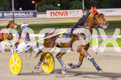 2025_PACEPIX_GP21112025_RACE10_MajesticGaGa_WIN_WEB-5