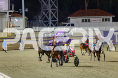 RACE 10 - Majestic Ga Ga
