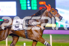 2025_PACEPIX_GP23052025_RACE10_MajesticGaGa_WIN_WEB-19