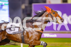 2025_PACEPIX_GP23052025_RACE10_MajesticGaGa_WIN_WEB-20