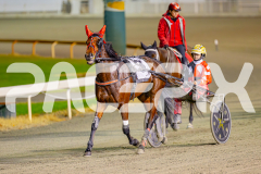 2025_PACEPIX_GP23052025_RACE10_MajesticGaGa_WIN_WEB-33