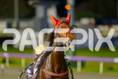 2025_PACEPIX_GP23052025_RACE10_MajesticGaGa_WIN_WEB-39