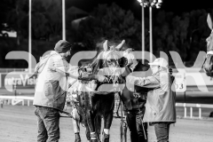 2025_PACEPIX_GP23052025_RACE10_MajesticGaGa_WIN_WEB-41