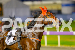 2025_PACEPIX_GP23052025_RACE10_MajesticGaGa_WIN_WEB-6